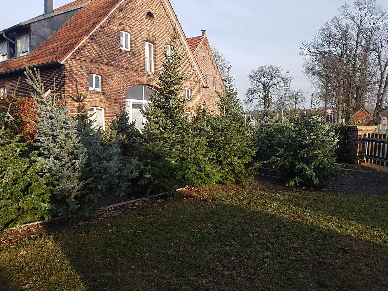 Verkaufsstand in Münster Albersloh