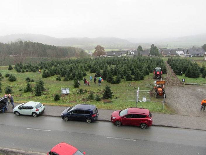 Aktion Festbaum