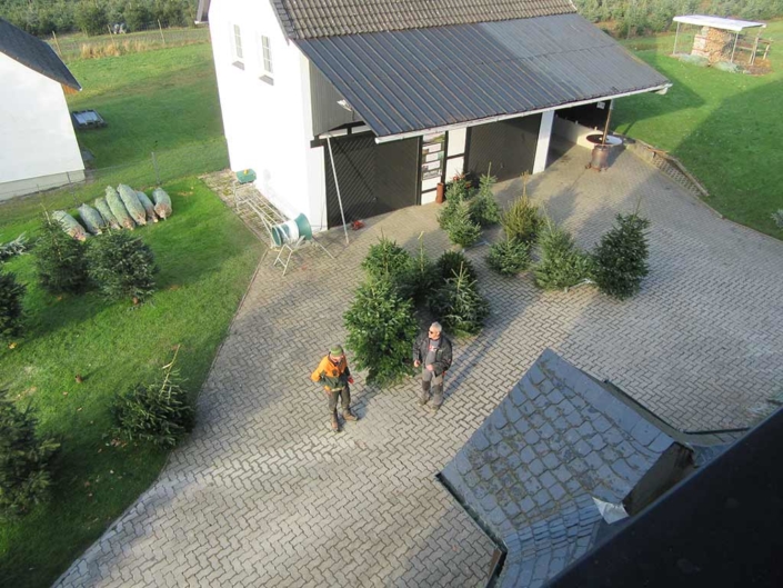 Baumberatung
