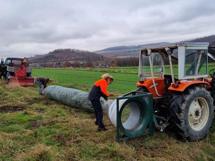 Großer Baum wird eingenetzt