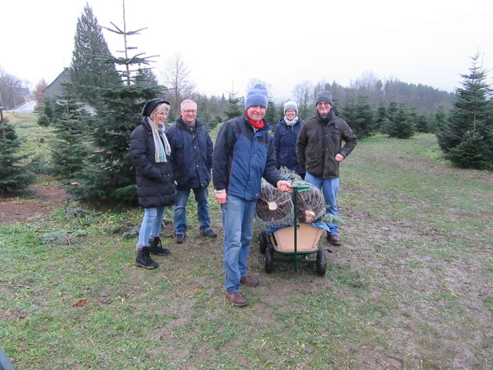 Festbaum gefunden