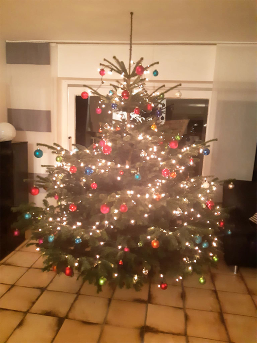 Baum mit Lichterkette