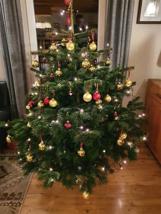 Nordmanntanne mit goldenen Kugeln