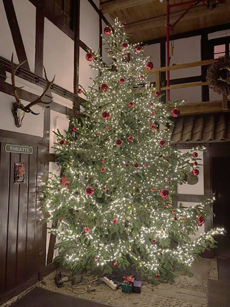 Festlich geschmückter Baum